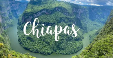 Shows de botargas en Chiapas